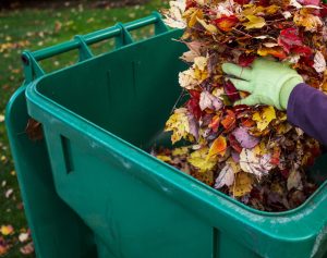 Putting Fall Leaves into a green bin